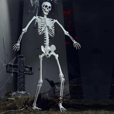 7.8Ft Giant Skeleton Life Size Realistic Plastic Human Skeleton with Movable Joi picture