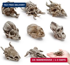 Bbiamsleep 8 Pcs 2.3 Inch Mini Animal Skulls Mini Skulls for Halloween | Resin A picture