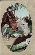 1909 Horses Feeding Trough Birmingham Alabama Cancellation picture