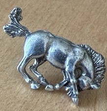 Famous “724 Signed” Bucking Bronco Pin Western Michigan University Symbolic picture