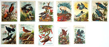 1890 Eleven J1, Arm & Hammer Beautiful Birds, All 3 Varieties Bottoms Cut picture