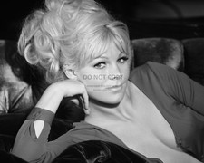 ACTRESS SUSAN DENBERG GERMAN-AUSTRIAN MODEL - 8X10 PUBLICITY PHOTO (AB-643) picture