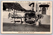 Curacao N.W.I. Selling Water on the Streets Donkey Cart Vintage Postcard picture