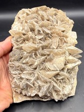 XL Uncommon Angel Wing Calcite Crystal Cluster Colorado Natural Mineral Specimen picture