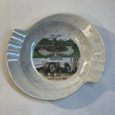 Vintage The Great Smoky Mountains Tennessee Ceramic Souvenir Ashtray Iridescent picture