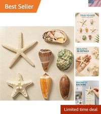 7Pcs 3D Seashell and Star Fish Refrigerator Magnets picture