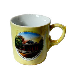 LIBRARY - SARNIA ONTARIO CANADA Souvenir ANTIQUE CHINA TRINKET CUP picture