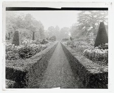 Photo:Cliveden Taplow Buckinghamshire England 1925 Long Garden Hedges picture