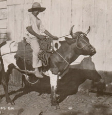 ASI Montan Los Toros En Los Tuxtlas Ver RPPC Tome Cerveza Insuperable Postcard picture