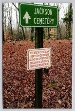 Jackson Cemetery Stewart County Tennessee Postcard picture