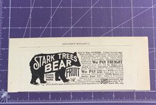 1900 VICTORIAN PRINT AD STARK BROS STARK TREES BEAR FRUIT picture
