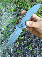 WE Knife Chimera  Gray Titanium S35VN Frame Lock Yours For Eternity Blade picture