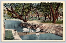 Antique Texas Postcard SAN ANTONIO San Pedro Park Swans 1919 picture