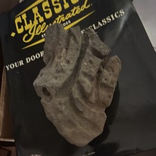 Fossilized Woolly Mammoth Tooth Fossil Teeth picture