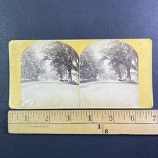 North End Concord NH Stereoview Street Scene Horse Cart 1860s Victorian picture