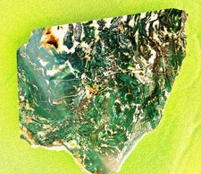 Polished Green Petrified Slab of Jasperized Wood Hampton Butte, Or~ ~11 Ounces~ picture