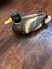 Vintage Mallard Duck picture