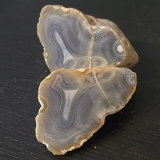 107 Grams Indonesia pair of Banded Agate Specimen Polished on the Surface 070325 picture