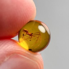 SPIDER SPHERE 7mm bead Burmese / Burmite amber fossil bead / 100% genuine picture