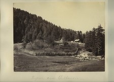 Khajear Dalhousie India Hill Station Forest Landscape c1880s VTG Photo picture