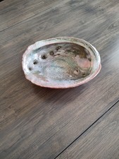 Vintage Large Red Abalone Shell Iridescent Colors Sits Flat, 9