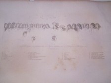 ANTIQUE ENGRAVING - PHILIPE DE FRANCE DUC D'ANYOU - DOCS picture