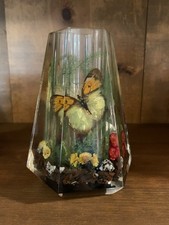 Vase Acrylic Resin Butterfly Flower Terrarium Planter Hexagonal Lucite Vintage picture