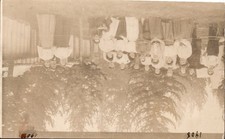 RPPC Tent Camp Employees Group Photo, Pine Forest - Real Photo Postcard 1908 picture