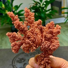 429G Rare iridescent Native Copper crystal mineral specimen natural picture