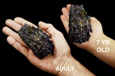 CARBORUNDUM 3