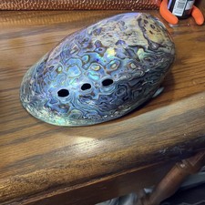 Abalone Shell Polished