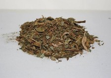 DEER TONGUE LEAF Dried Native American Botanical Herb 1 Ounce Pack picture