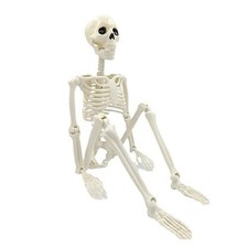 Halloween Decorations Skeleton,Posable Human Shape Skeleton,Halloween Fake Bone picture