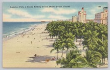 Vintage Lummus Park Miami Beach Florida Postcard Hotels Beach Tichnor Linen picture