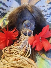 MUSEUM QUALITY SHRUNKEN HEAD REPLICA, AMBIGUOUS, JIVARO, CEREMONIAL TSANTSA picture
