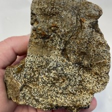 Oolite Fish Egg Agate 1 Pound 3.59 Oz Rare Lapidary Rough picture