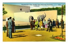 c.1930s SAN FRANCISCO FLEISHHACKER ZOO ELEPHANT SECTION w/CROWD~VINTAGE POSTCARD picture