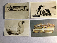 WA Coast LOT Includes Clam Digging + Geoduck ; 4 card LOT has 2 RPPC picture