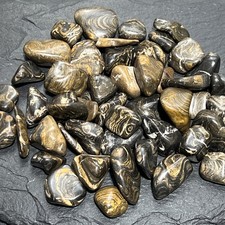 Stromatolite Fossil Tumbled Stones (By The Piece or Pound) Mineral Specimen picture