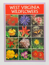 West Virginia Wildflowers Multiview Postcard Unposted picture