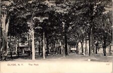 Clyde, N.Y., The Park, Post Card, c1906, #1936 picture