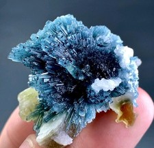 116 Carat Bunch Of Indicolite Tourmaline Crystal Specimen From Afghanistan picture