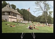Vintage Chautauqua County NY Postcards Lot 5 Lily Dale Farmers Market Mayville picture