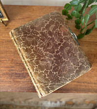 Antique 19th century Velvet Floral Photograph Album Metal Clasp + Photos  picture